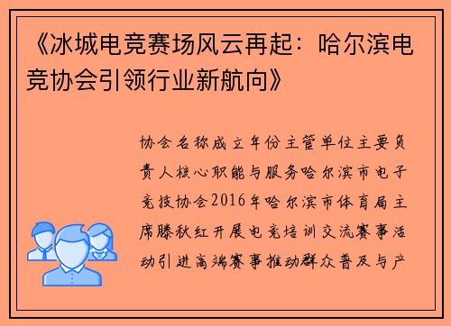 《冰城电竞赛场风云再起：哈尔滨电竞协会引领行业新航向》